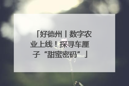 好德州丨数字农业上线！探寻车厘子“甜蜜密码”
