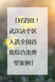 好消息！武汉这个区入选全国首批综合类典型案例