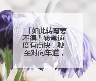 如此转弯要不得！转弯速度有点快，驶至对向车道，撞了