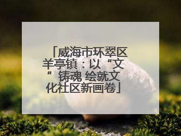 威海市环翠区羊亭镇：以“文”铸魂 绘就文化社区新画卷