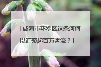 威海市环翠区这条河何以汇聚起百万客流？