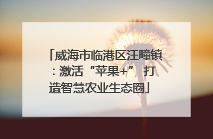 威海市临港区汪疃镇：激活“苹果+” 打造智慧农业生态圈