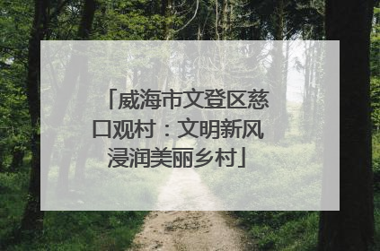 威海市文登区慈口观村：文明新风浸润美丽乡村