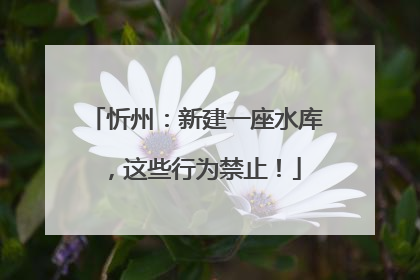 忻州：新建一座水库，这些行为禁止！
