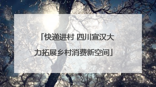 快递进村 四川宣汉大力拓展乡村消费新空间