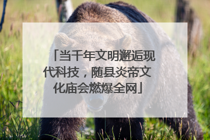 当千年文明邂逅现代科技，随县炎帝文化庙会燃爆全网