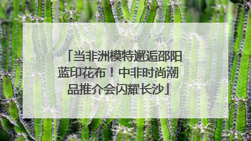 当非洲模特邂逅邵阳蓝印花布！中非时尚潮品推介会闪耀长沙