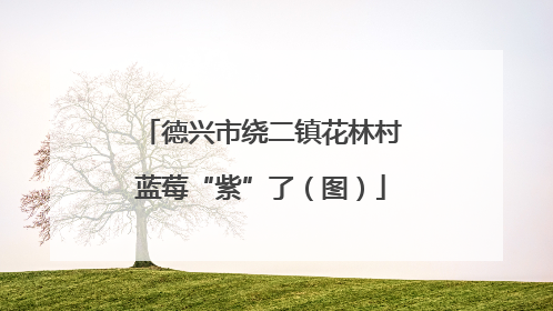 德兴市绕二镇花林村蓝莓“紫”了（图）