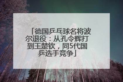 德国乒乓球名将波尔退役：从孔令辉打到王楚钦，同5代国乒选手竞争