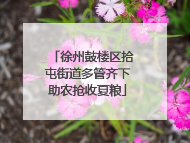 徐州鼓楼区拾屯街道多管齐下助农抢收夏粮