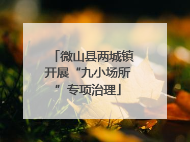 微山县两城镇开展“九小场所”专项治理