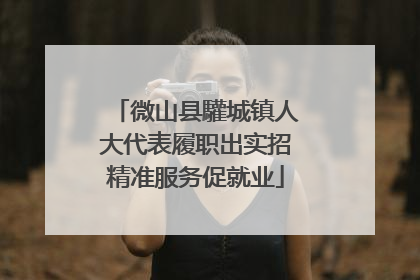 微山县驩城镇人大代表履职出实招精准服务促就业
