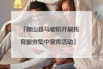 微山县马坡镇开展托育服务集中宣传活动