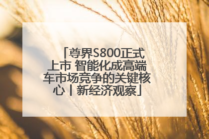 尊界S800正式上市 智能化成高端车市场竞争的关键核心丨新经济观察