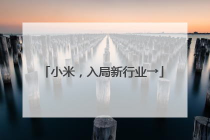 小米，入局新行业→