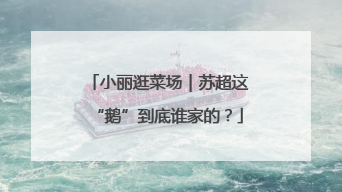小丽逛菜场｜苏超这“鹅”到底谁家的？