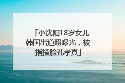 小沈阳18岁女儿韩国出道照曝光，被指撞脸孔孝真