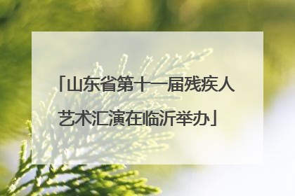 山东省第十一届残疾人艺术汇演在临沂举办