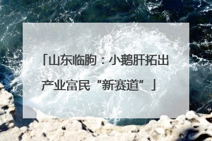 山东临朐：小鹅肝拓出产业富民“新赛道”