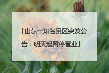 山东一知名景区突发公告：明天起暂停营业