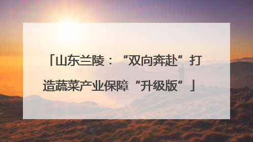 山东兰陵：“双向奔赴”打造蔬菜产业保障“升级版”
