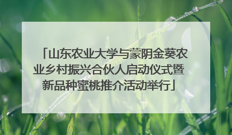 山东农业大学与蒙阴金葵农业乡村振兴合伙人启动仪式暨新品种蜜桃推介活动举行