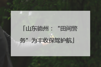 山东德州：“田间警务”为丰收保驾护航
