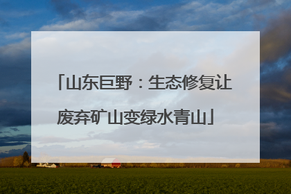 山东巨野：生态修复让废弃矿山变绿水青山