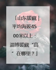 山东援藏｜平均海拔4500米以上：淄博援藏“高”在哪里？
