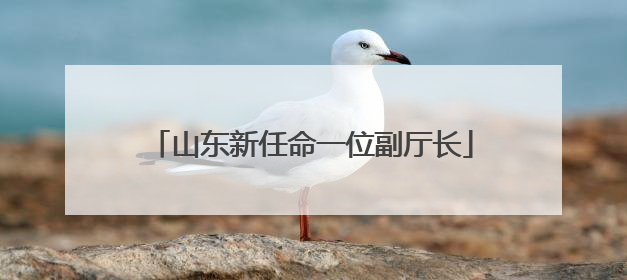 山东新任命一位副厅长