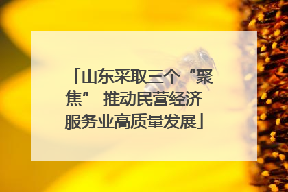 山东采取三个“聚焦” 推动民营经济服务业高质量发展