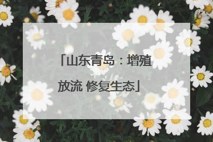 山东青岛：增殖放流 修复生态