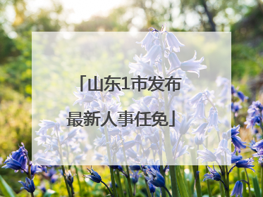 山东1市发布最新人事任免