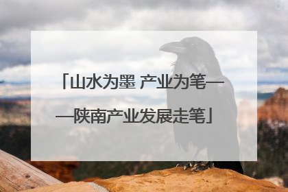 山水为墨 产业为笔——陕南产业发展走笔