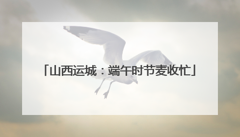 山西运城：端午时节麦收忙