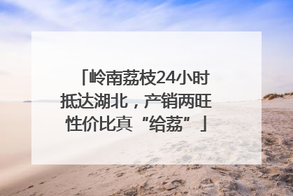 岭南荔枝24小时抵达湖北，产销两旺性价比真“给荔”