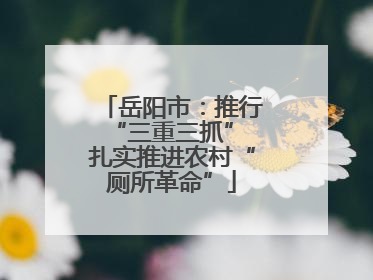 岳阳市：推行“三重三抓” 扎实推进农村“厕所革命”