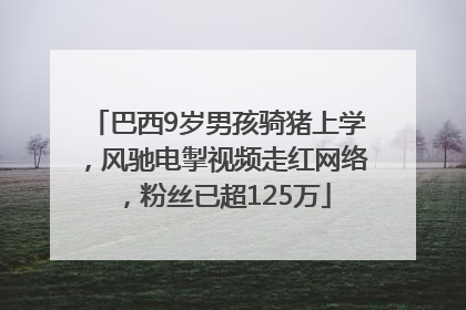 巴西9岁男孩骑猪上学，风驰电掣视频走红网络，粉丝已超125万