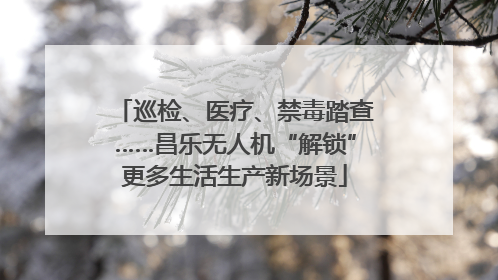 巡检、医疗、禁毒踏查……昌乐无人机“解锁”更多生活生产新场景