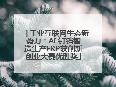 工业互联网生态新势力：AI 钉铛智造生产ERP获创新创业大赛优胜奖