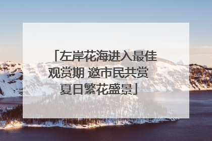左岸花海进入最佳观赏期 邀市民共赏夏日繁花盛景
