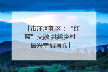 市洋河新区：“红蓝”交融 共绘乡村振兴幸福画卷