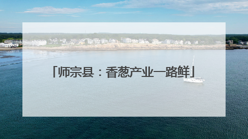 师宗县：香葱产业一路鲜
