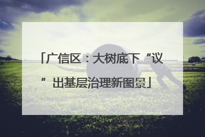 广信区：大树底下“议”出基层治理新图景