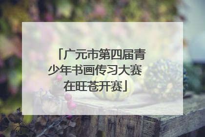 广元市第四届青少年书画传习大赛在旺苍开赛