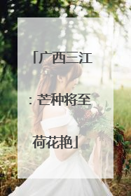 广西三江：芒种将至荷花艳