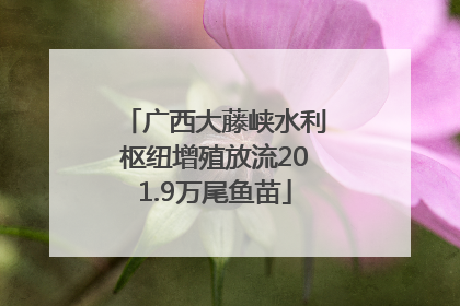 广西大藤峡水利枢纽增殖放流201.9万尾鱼苗