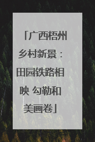 广西梧州乡村新景：田园铁路相映 勾勒和美画卷