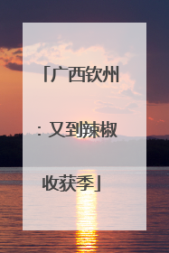 广西钦州：又到辣椒收获季