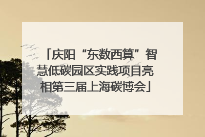 庆阳“东数西算”智慧低碳园区实践项目亮相第三届上海碳博会